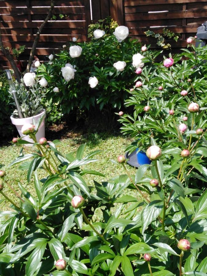 Ferienwohnung Mit Kleinem Garten Sonnenbühl Extérieur photo